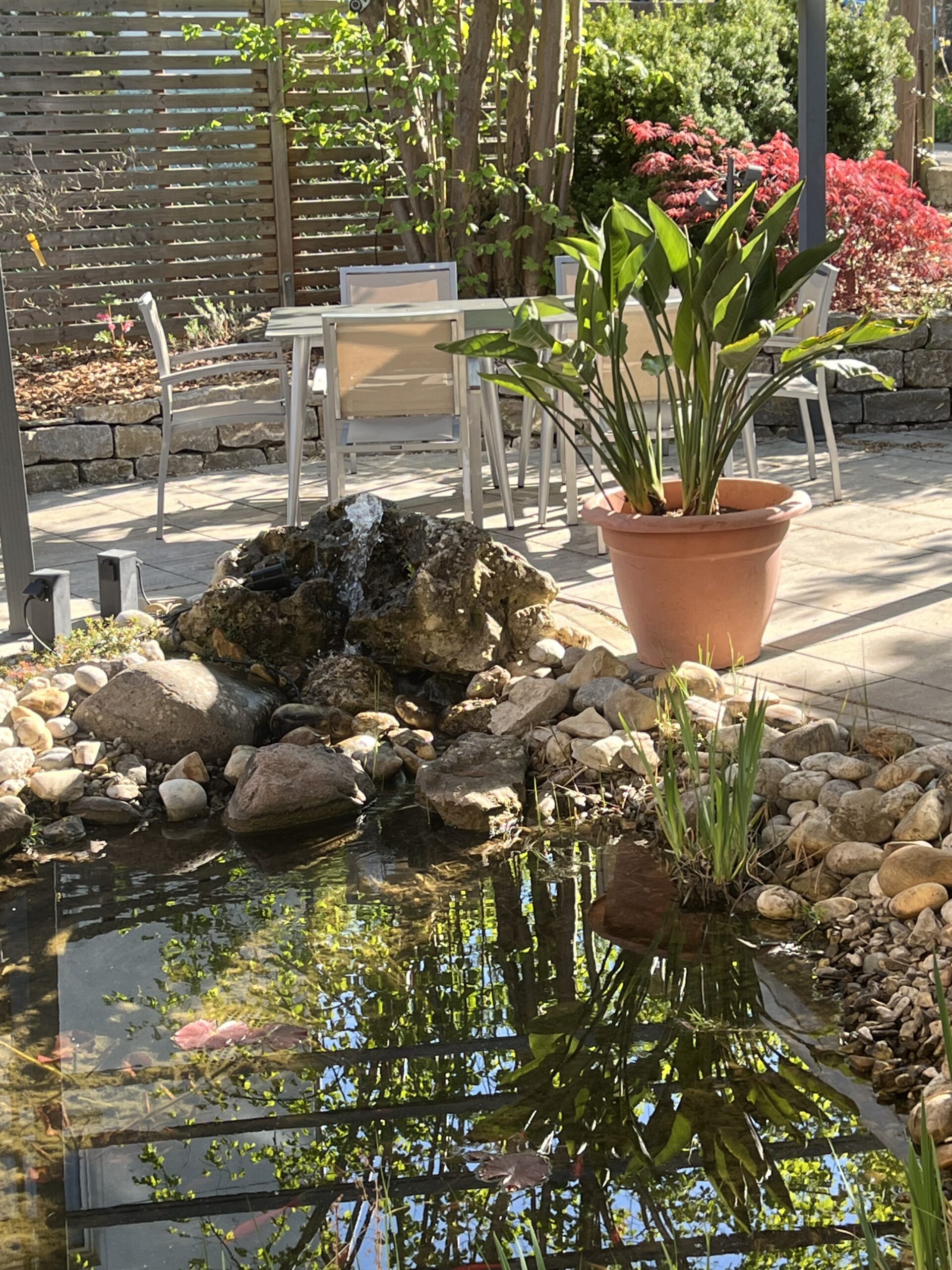 Teich und Garten bei Raum und Garten