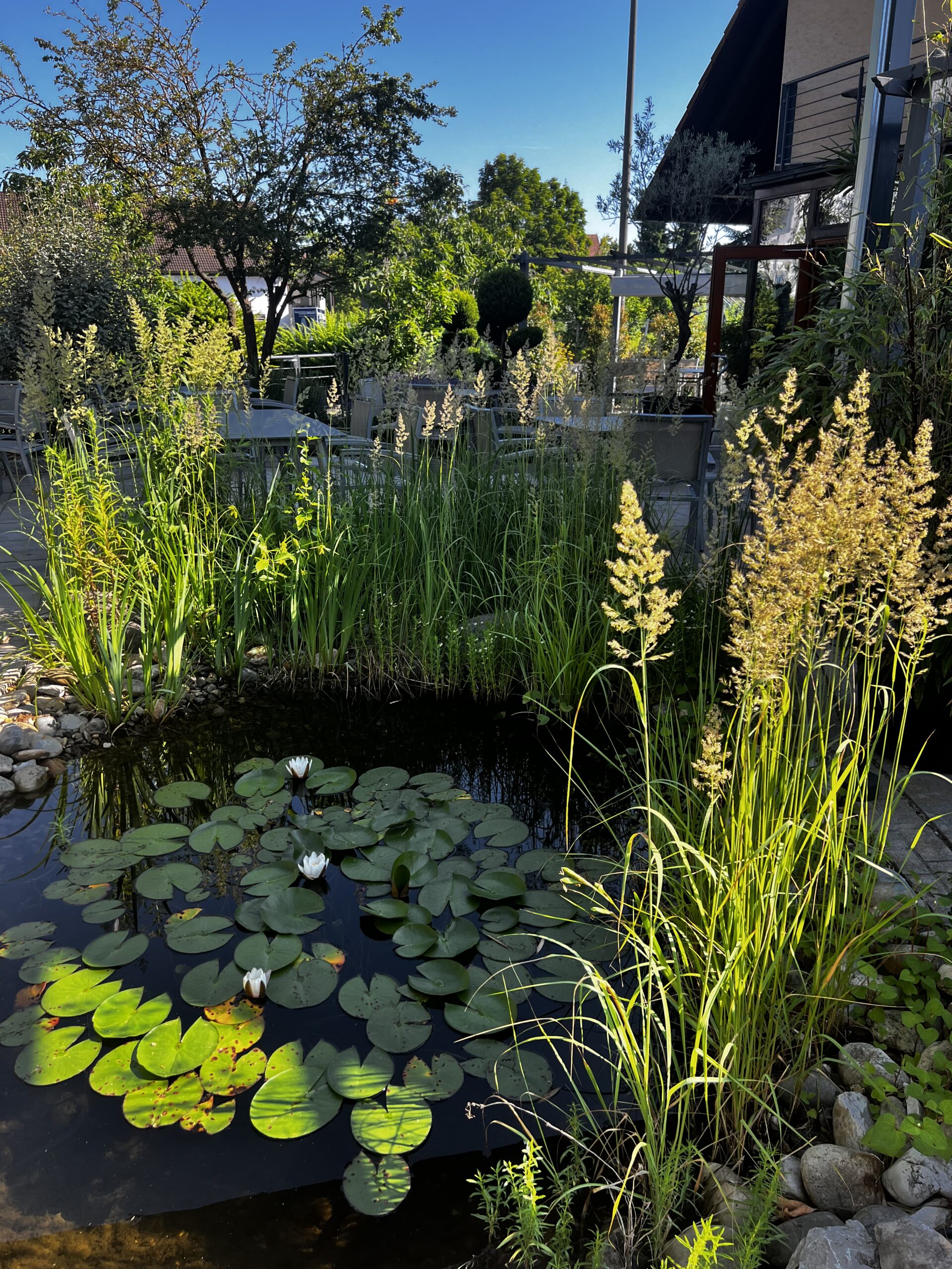 Grüner Garten von Raum und Garten